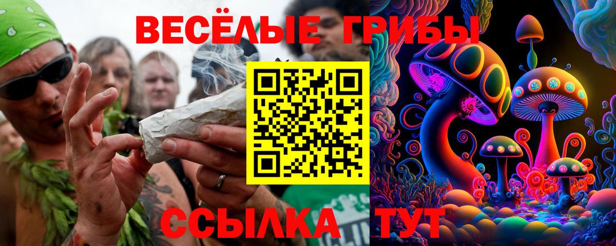 Псилоцибиновые грибы Psilocybine cubensis Назрань